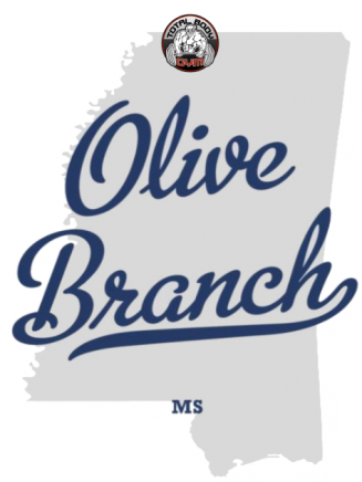olive branch ms